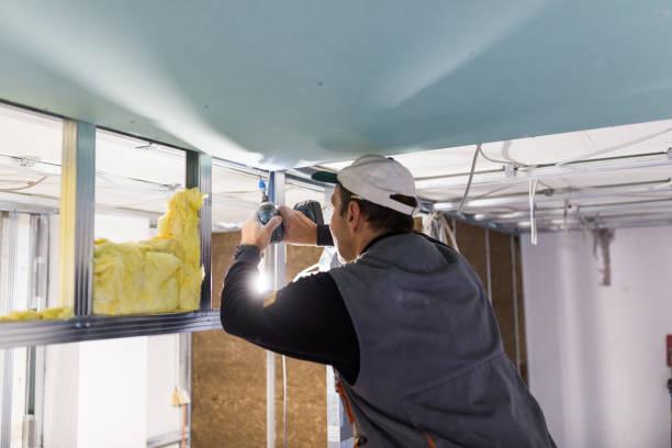 Best Commercial Insulation Contractor  in Merton, WI