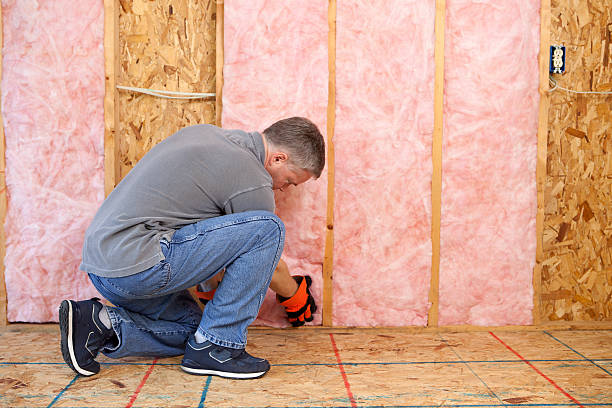 Insulation Inspection Services in Merton, WI
